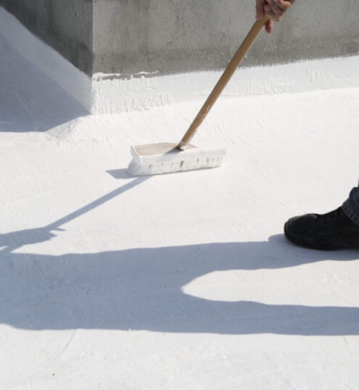 Roof Coating